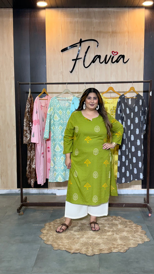 Haritrekha Printed Kurti