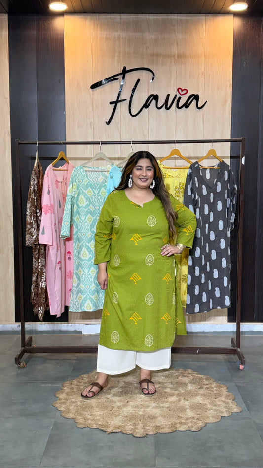 Haritrekha Printed Kurti